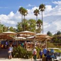The Top Restaurants in Orange County, CA for Outdoor Dining